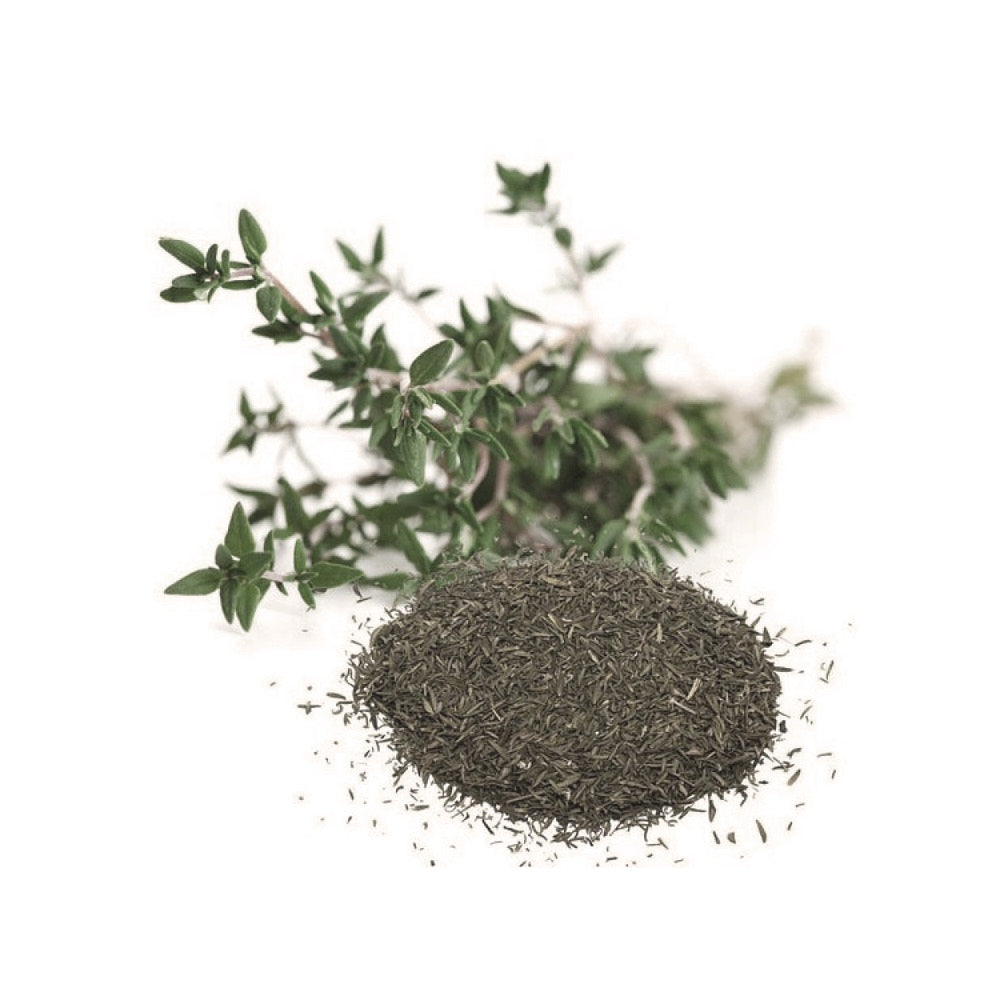WELLNESS ERLEBEN
