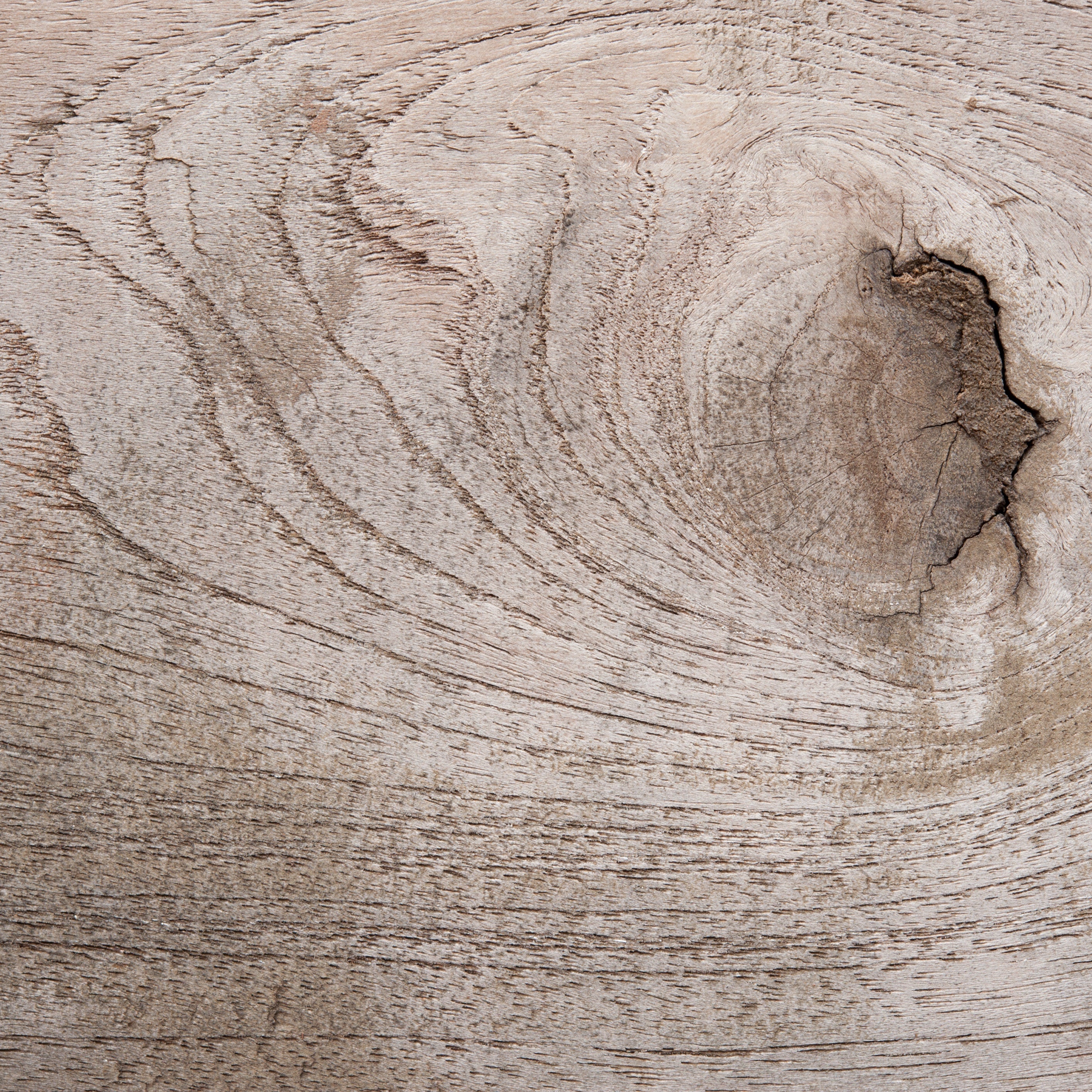 Holzwissen